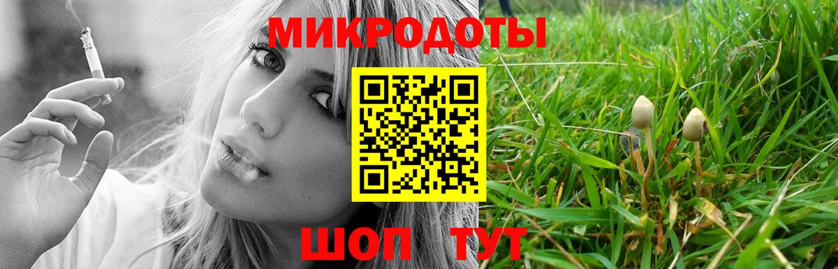 Галлюциногенные грибы прущие грибы  Вход с VPN  Тольятти  Галлюциногенные грибы GOLDEN TEACHER 