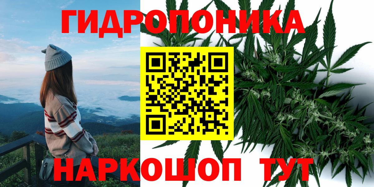 МАРИХУАНА конопля  Бошки марихуана планчик  Вход с VPN  Тольятти  Конопля VHQ  Бошки марихуана тримм 